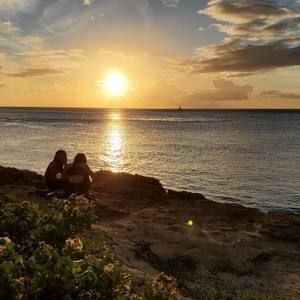 Meet your Posher, Lama